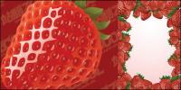 Strawberry vector material