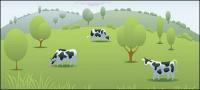 Vector cow pasture material