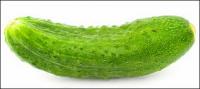 Cucumber picture material