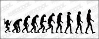 The course of human evolution vector material