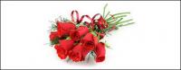 A bouquet of red roses picture material