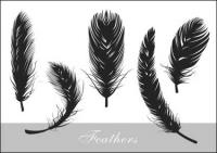 Realistic feather silhouette vector