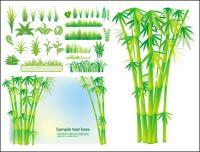 Vector bamboo grass plant		