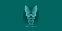 Material leaves and butterflies vector