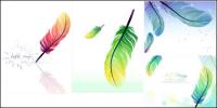 colorful feathers vector