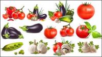Peppers, eggplants, tomatoes, garlic, beans, cucumber, tomato