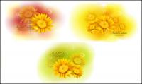 Yellow Chrysanthemum dimorphotheca Vector Materials