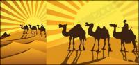 Desert d'or en camell siluetes vector material