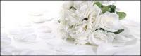White rose petals and bouquets
