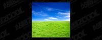 Grass sky picture material-5