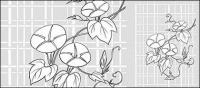 Dibuix de línies de vector de flors-26(Morning glory, lattice background)