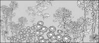 Vector line drawing of flowers-27(Wild chrysanthemum)