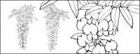 Line drawing of flowers -12