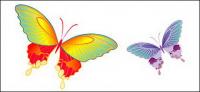vector material Butterfly