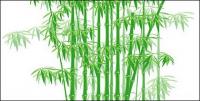 The green bamboo vector material
