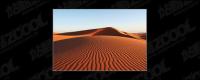 Desert picture material