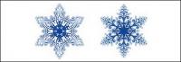 beautiful snowflakes vector material