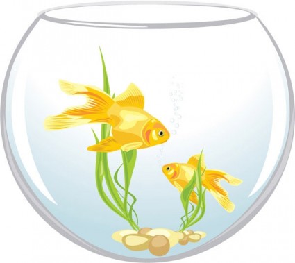 Goldfish bowl,goose egg,seaweed,blisters,goldfish,fish, Free Download