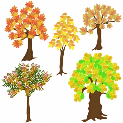 autumn tree vector