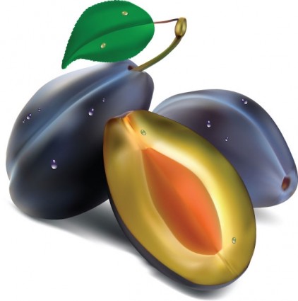 realistic fruit vector