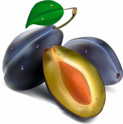 realistic fruit vectors
