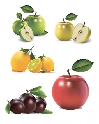 ultrarealistic fruit vector