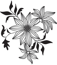 Black and white lines flowers wallpaper