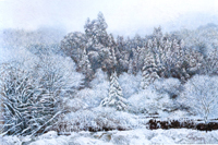 White snow painting wallpaper map