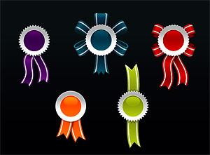 web2.0 style badge Medal