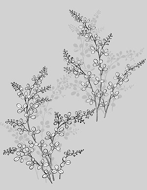 Line drawing of flowers -17