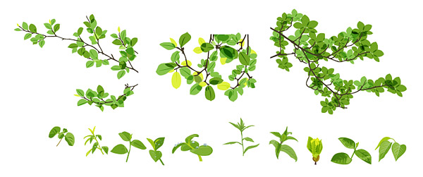 Vector material leaves of spring
