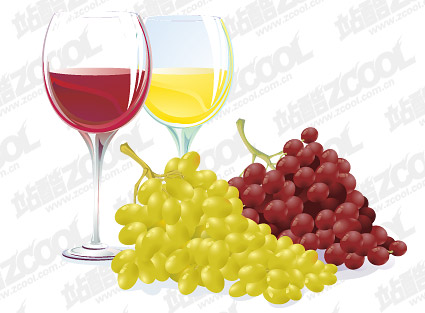 Vector grape and wine material
