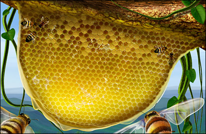 Mehiläisten, huokoinen, punostuotteiden kasvien