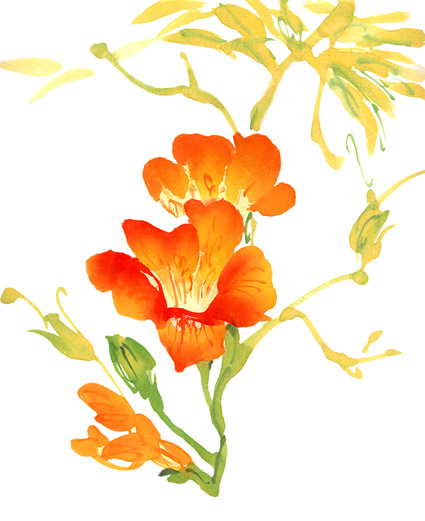Watercolor painting of flowers results