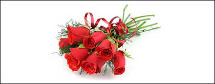A bouquet of red roses picture material