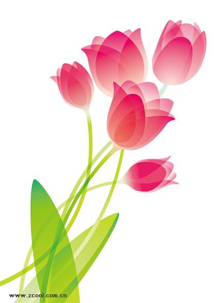 tulip special material