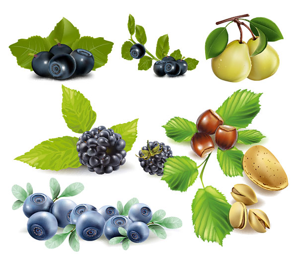 Fruits, blueberries, pears, pistachios, chestnuts vector