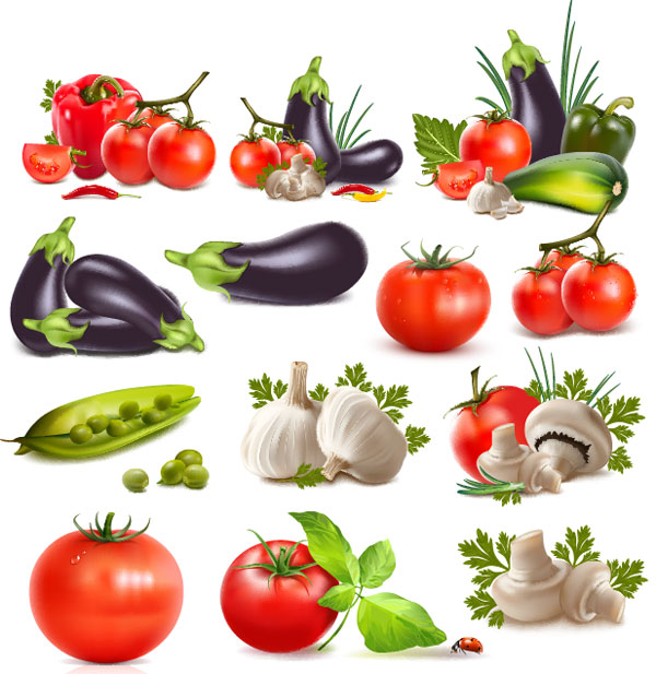 Peppers, eggplants, tomatoes, garlic, beans, cucumber, tomato