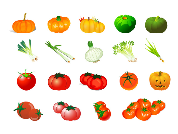 Vegetable Vector - Pumpkin Tomato Garlic Onion