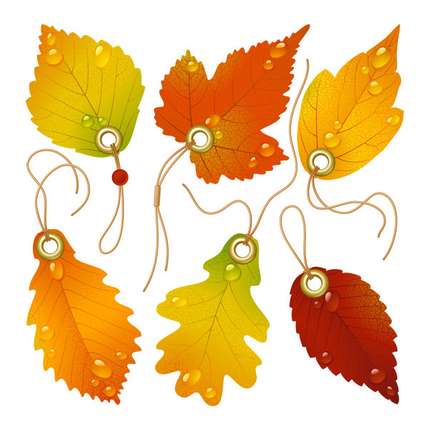 Exquisite maple leaf bookmarks vector of material