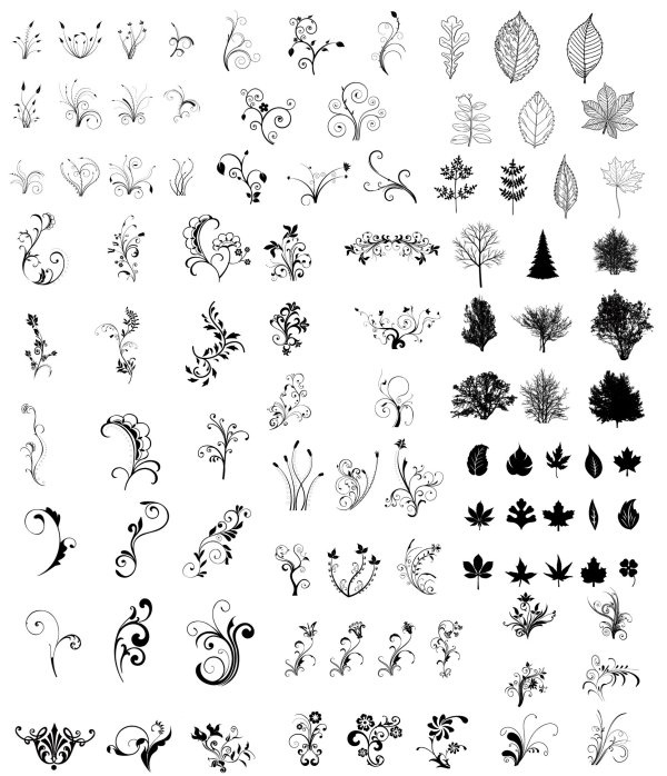 Black and white leaves Vector