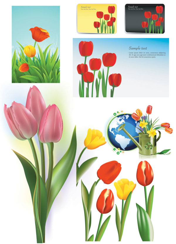 Vector de tulipes de material
