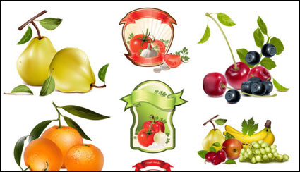 Theme Vector fruits and vegetables			 