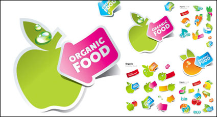 Cute stickers of fruits and vegetables Vector