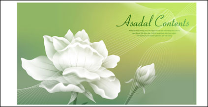 Background of white roses with dream material vector