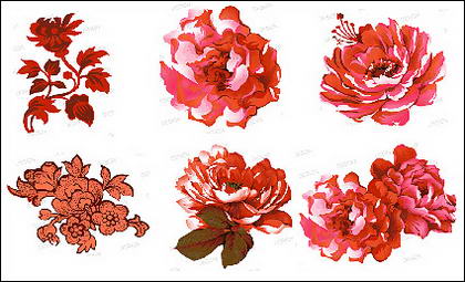 Pink flowers psd material