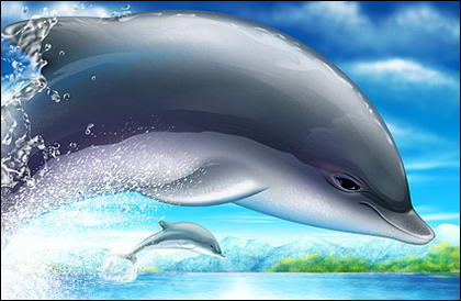 Cool jumping dolphins psd layered material