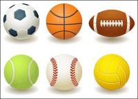 Calcio, basket, rugby, tennis, baseball, materiale vettoriale pallavolo
