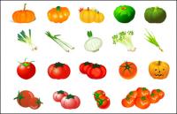 Овощные вектор - тыквы томатный чеснок лук
