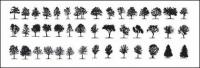 Elements d'arbres en imatges